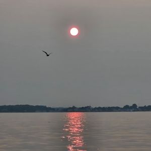 Meet your Posher, Amelia